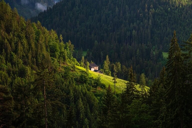 "Traveling on a Budget: How to See the World Without Breaking the Bank"